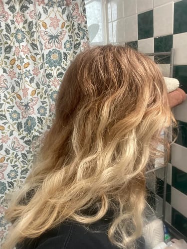 Sofia P. review